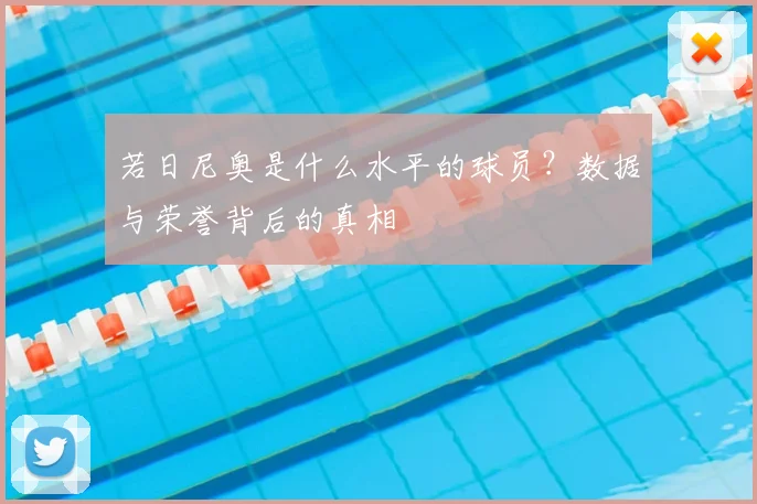 若日尼奥是什么水平的球员?数据与荣誉背后的真相
