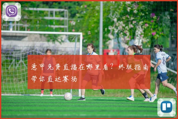 意甲免费直播在哪里看？终极指南带你直达赛场