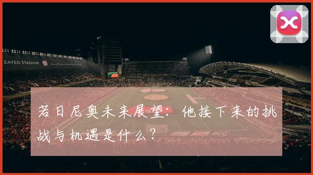 若日尼奥未来展望:他接下来的挑战与机遇是什么?