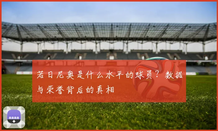 若日尼奥是什么水平的球员？数据与荣誉背后的真相