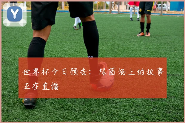 世界杯今日预告:绿茵场上的故事正在直播