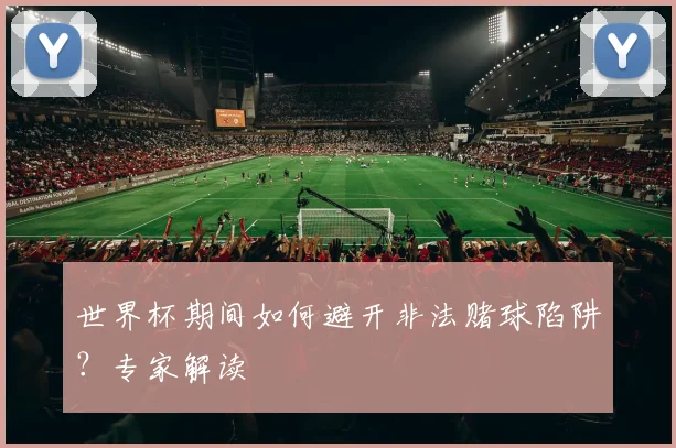 世界杯期间如何避开非法赌球陷阱？专家解读