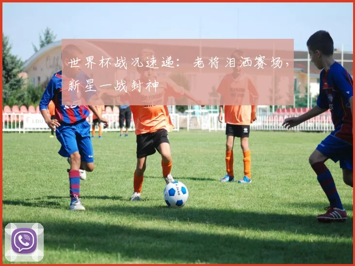 世界杯战况速递：老将泪洒赛场，新星一战封神
