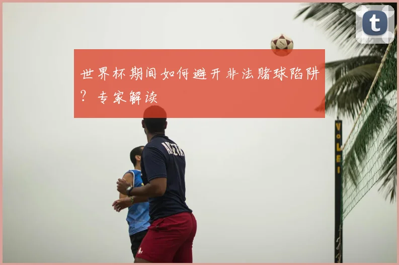 世界杯期间如何避开非法赌球陷阱？专家解读